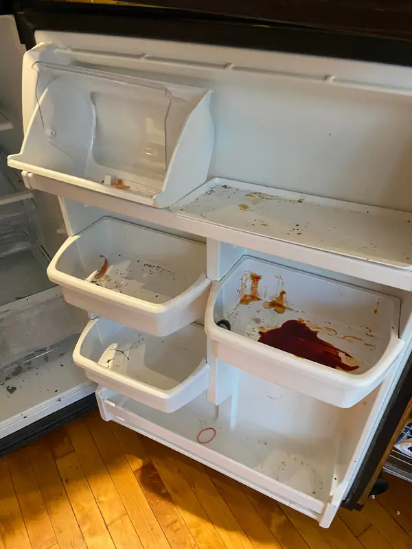 Refrigerator before cleaning