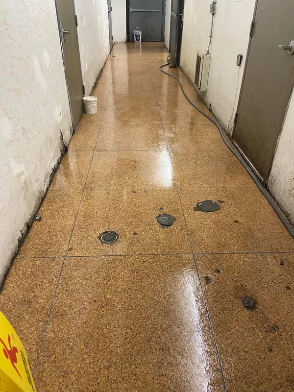 Commercial hallway after an MCS cleaning