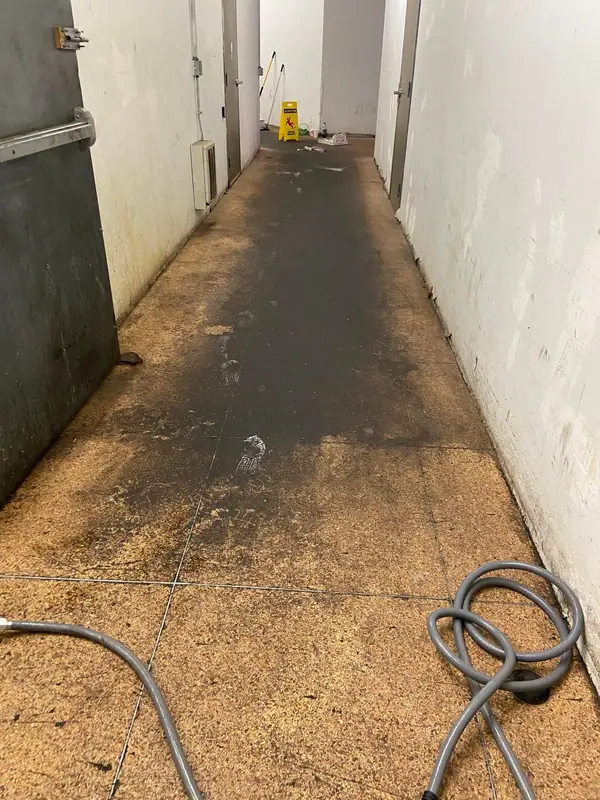 Commercial hallway before cleaning