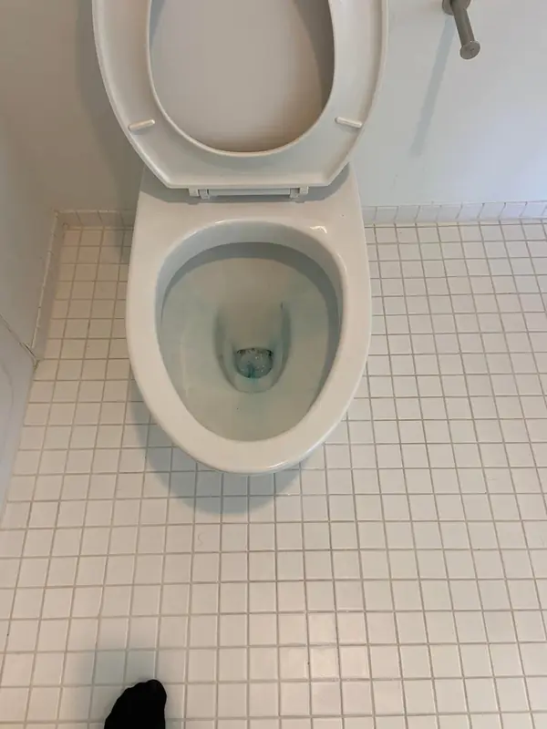 Toilet & tile after an MCS cleaning