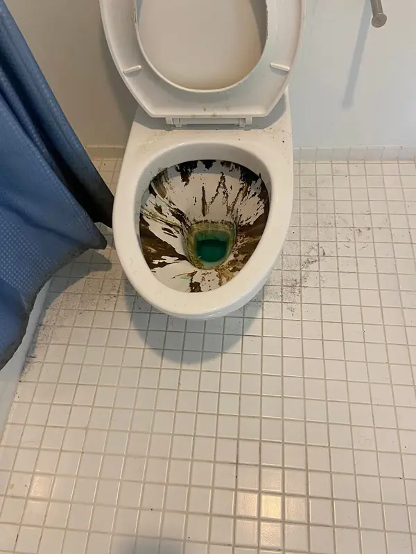 Toilet & tile before cleaning